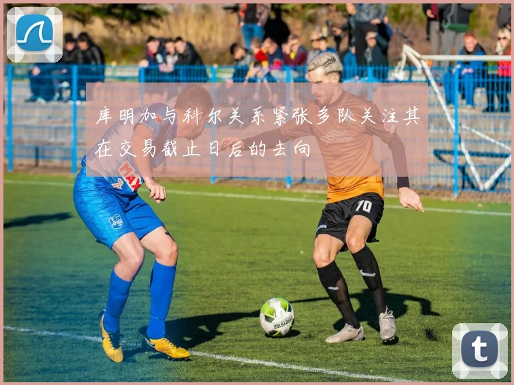 库明加与科尔关系紧张多队关注其在交易截止日后的去向