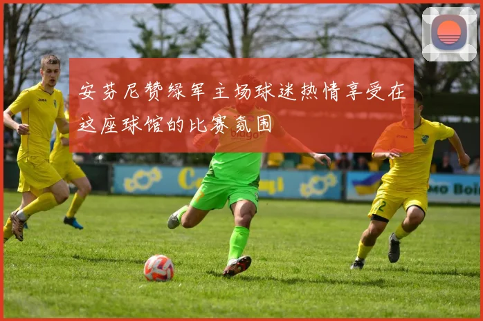 安芬尼赞绿军主场球迷热情享受在这座球馆的比赛氛围