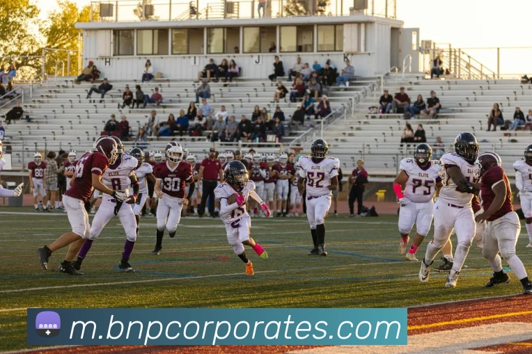 多终端兼容